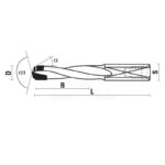 dp dowel drills