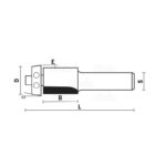 hw straight plunge bits with ball bearing guide z2